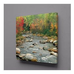 Technopa Deredeki Taşlar 40x40 cm Kanvas Tablo