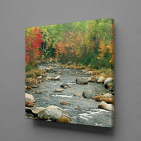 Technopa Deredeki Taşlar 40x40 cm Kanvas Tablo