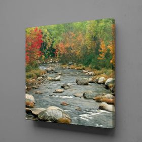 Technopa Deredeki Taşlar 70x70 cm Kanvas Tablo