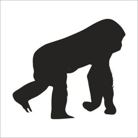Technopa DERSTV1003 200cm Maymun Folyo Sticker