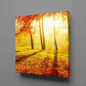 Technopa Doğa Manzarası 30x30 cm Kanvas Tablo