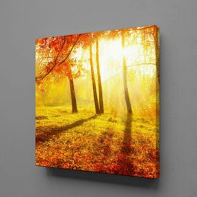 Technopa Doğa Manzarası 60x60 cm Kanvas Tablo