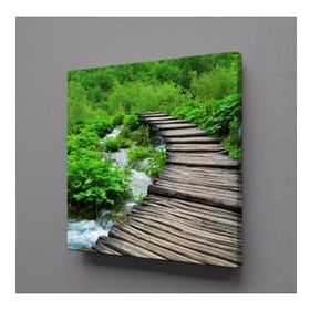 Technopa Doğadaki Köprü 110x110 cm Kanvas Tablo
