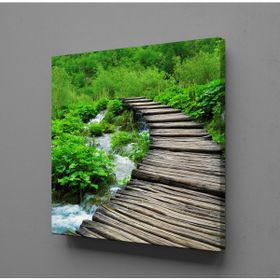 Technopa Doğadaki Köprü 70x70 cm Kanvas Tablo