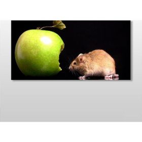 Technopa Elma ve Hamster 240x120 cm Kanvas Tablo