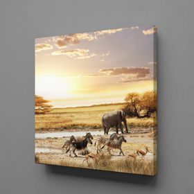Technopa Fil ve Zebralar 25x25 cm Kanvas Tablo