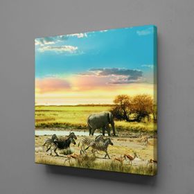 Technopa Fil ve Zebralar 60x60 cm Kanvas Tablo