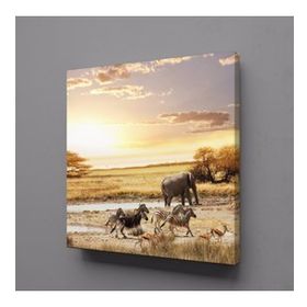 Technopa Fil ve Zebralar 70x70 cm Kanvas Tablo