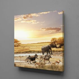 Technopa Fil ve Zebralar 70x70 cm Kanvas Tablo