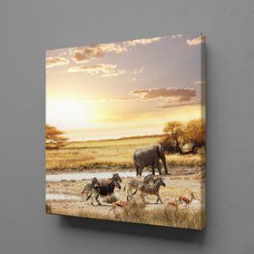 Technopa Fil ve Zebralar 70x70 cm Kanvas Tablo