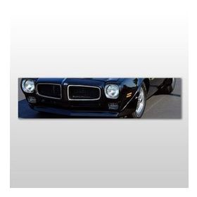 Technopa Ford 150x50 cm Kanvas Tablo