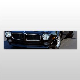 Technopa Ford 210x70 cm Kanvas Tablo