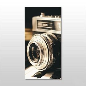 Technopa Fotoğraf Makinesi 140x210 cm Kanvas Tablo