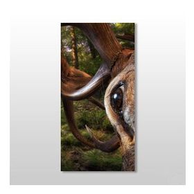 Technopa Geyik 50x75 cm Kanvas Tablo