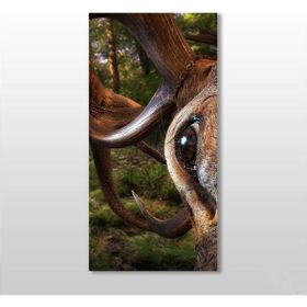 Technopa Geyik 70x105 cm Kanvas Tablo