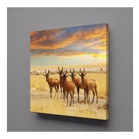 Technopa Geyikler 130x130 cm Kanvas Tablo