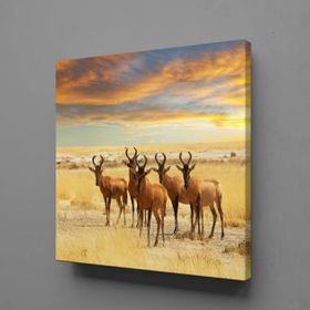 Technopa Geyikler 90x90 cm Kanvas Tablo