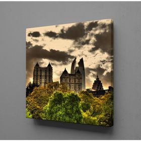 Technopa Gökyüzü Ağaç 30x30 cm Kanvas Tablo