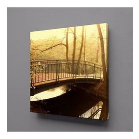Technopa Göldeki Köprü 110x110 cm Kanvas Tablo