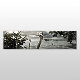 Technopa Göldeki Ördekler 300x100 cm Kanvas Tablo