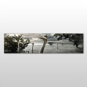 Technopa Göldeki Ördekler 60x20 cm Kanvas Tablo