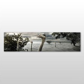 Technopa Göldeki Ördekler 60x20 cm Kanvas Tablo