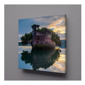 Technopa Göldeki Orman 60x60 cm Kanvas Tablo