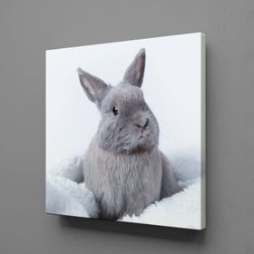 Technopa Gri Tavşan 130x130 cm Kanvas Tablo