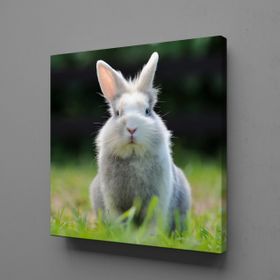 Technopa Gri Tavşan 25x25 cm Kanvas Tablo