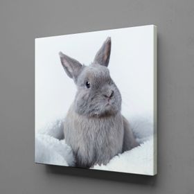 Technopa Gri Tavşan 60x60 cm Kanvas Tablo