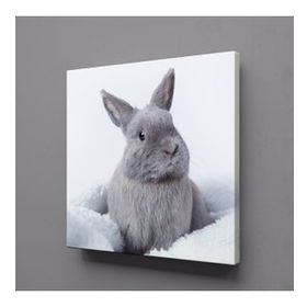 Technopa Gri Tavşan 70x70 cm Kanvas Tablo