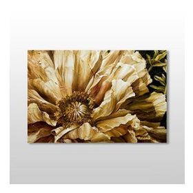 Technopa Gül Kurumuş 75x50 cm Kanvas Tablo