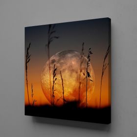 Technopa Gün Batımı Manzarası 25x25 cm Kanvas Tablo