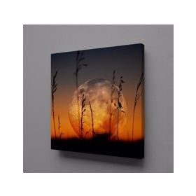 Technopa Gün Batımı Manzarası 25x25 cm Kanvas Tablo