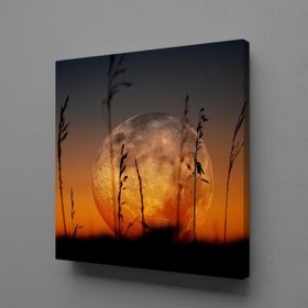 Technopa Gün Batımı Manzarası 80x80 cm Kanvas Tablo