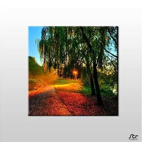 Technopa Güneşin Dokunuşu 110x110 cm Kanvas Tablo