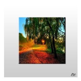 Technopa Güneşin Dokunuşu 30x30 cm Kanvas Tablo