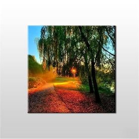 Technopa Güneşin Dokunuşu 60x60 cm Kanvas Tablo