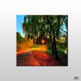 Technopa Güneşin Dokunuşu 80x80 cm Kanvas Tablo