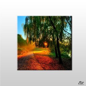 Technopa Güneşin Dokunuşu 80x80 cm Kanvas Tablo