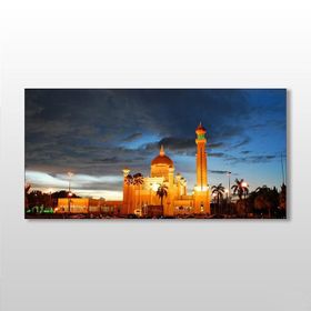 Technopa Hindistan Camii 100x50 cm Kanvas Tablo