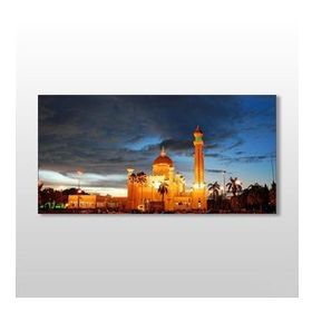 Technopa Hindistan Camii 60x30 cm Kanvas Tablo