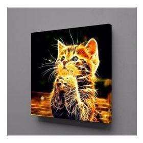 Technopa Işıltılı Kedi 90x90 cm Kanvas Tablo