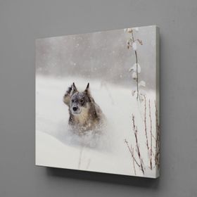 Technopa Kahverengi Kurt 30x30 cm Kanvas Tablo