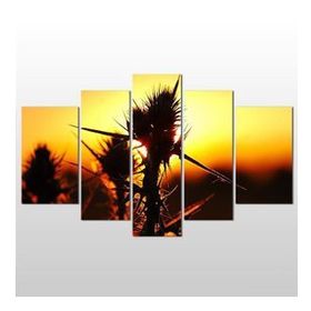 Technopa Kaktüs 140x80 cm Kanvas Tablo