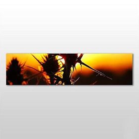 Technopa Kaktüs 210x70 cm Kanvas Tablo