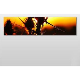 Technopa Kaktüs 240x80 cm Kanvas Tablo