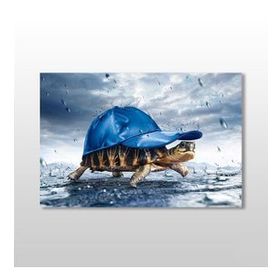 Technopa Kaplumbağa 75x50 cm Kanvas Tablo
