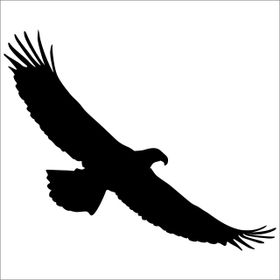 Technopa Kartal 100 cm Folyo Duvar Stickerı