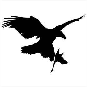 Technopa Kartal 130 cm Folyo Duvar Stickerı